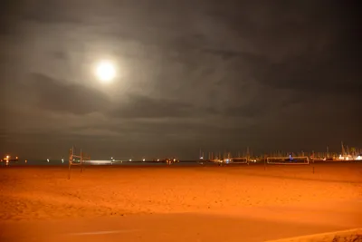 DSC_2456 (Large).JPG